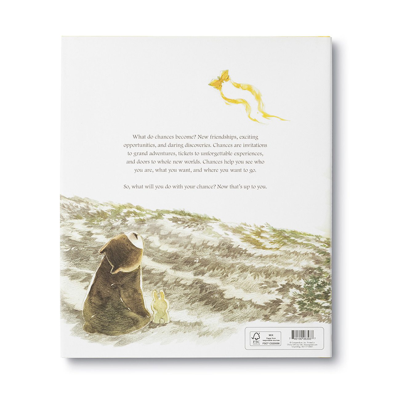 Compendium What Do You Do With A Chance Book - Image 5