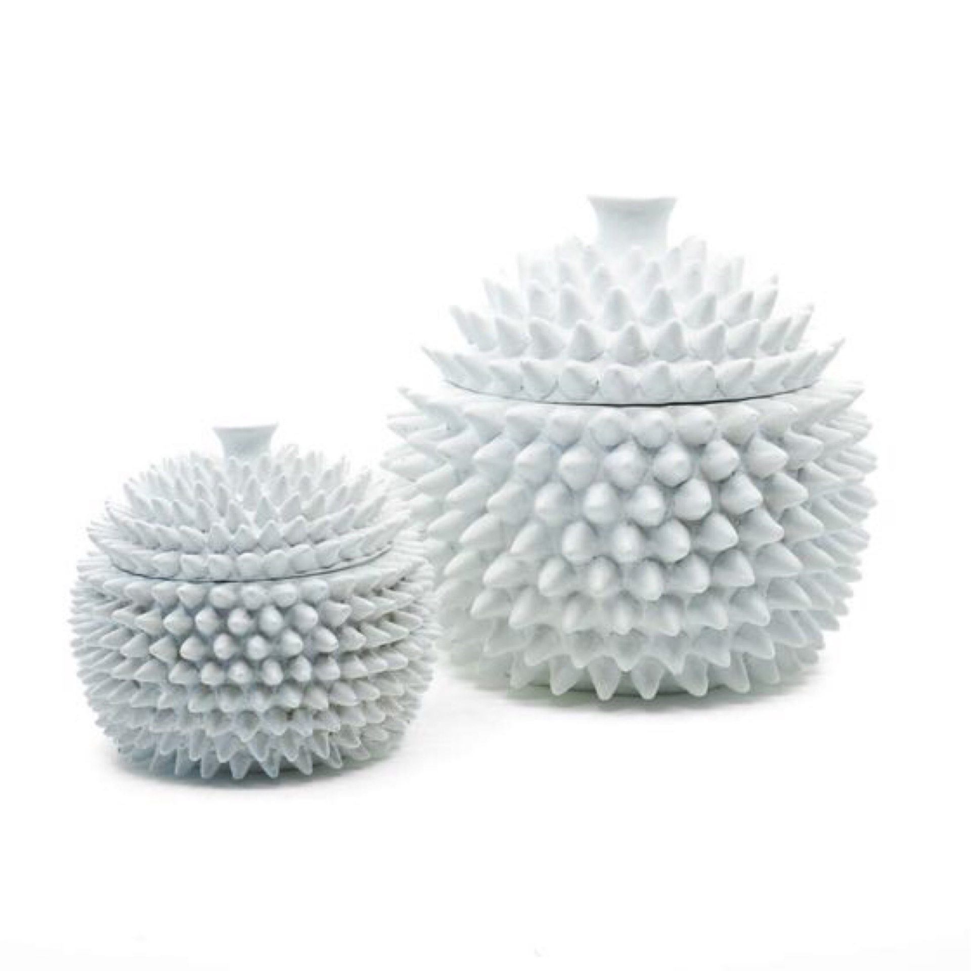 Trinket Box Urchin White